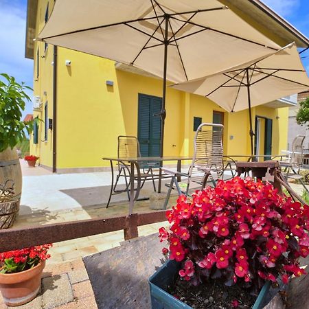 La Casa Del Vino - B&B Tollo Εξωτερικό φωτογραφία