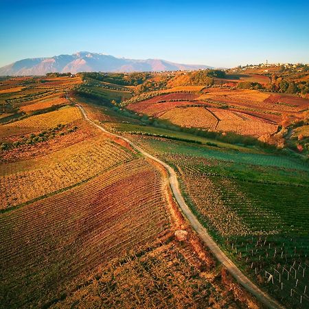 La Casa Del Vino - B&B Tollo Εξωτερικό φωτογραφία