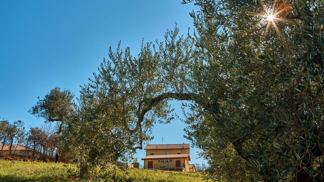 La Casa Del Vino - B&B Tollo Εξωτερικό φωτογραφία